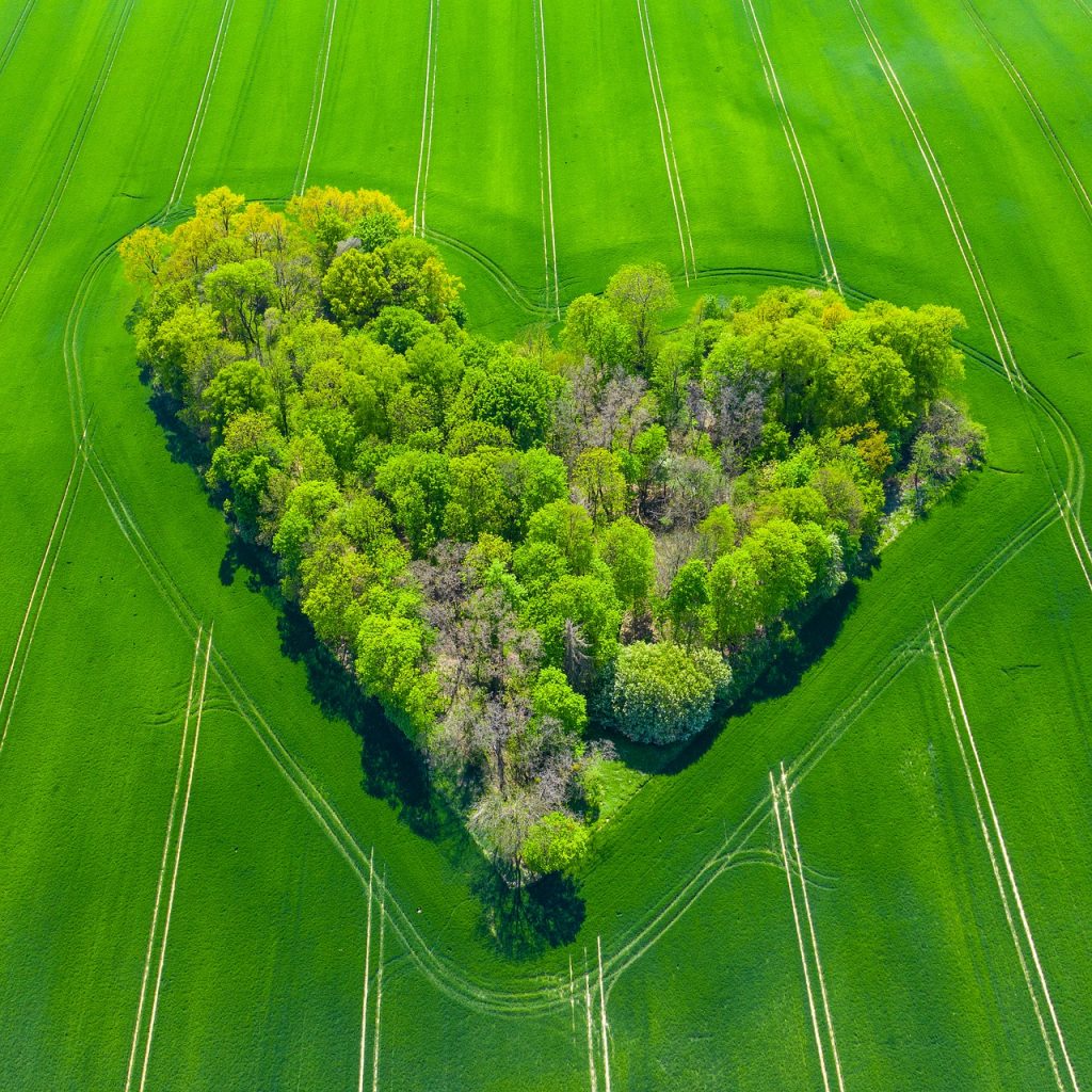 En bild på en hjärtformad lövskog omringad av åkermark.
